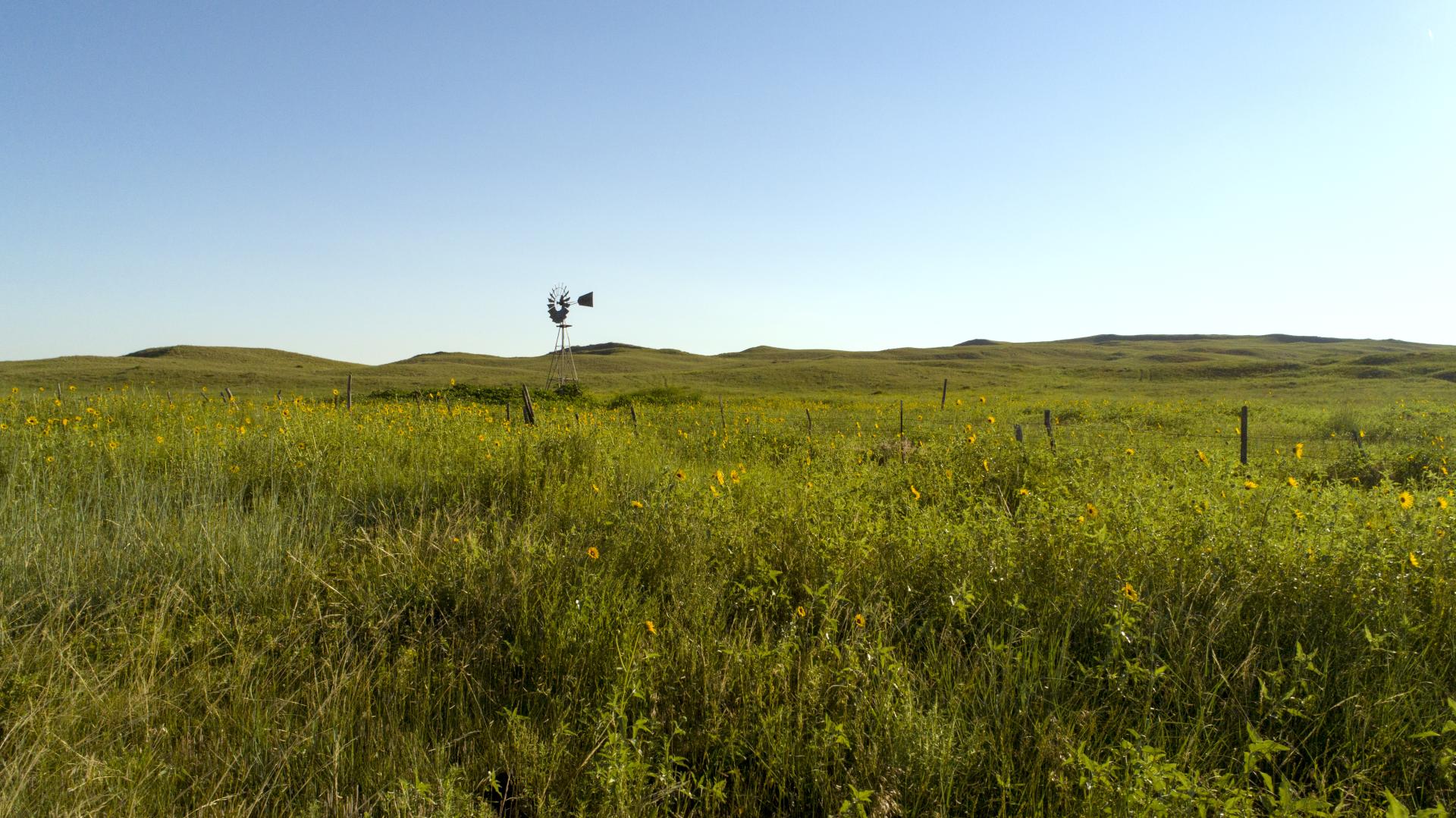 photo of sandhills and a windmill